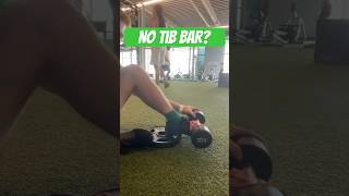 Weighted Tibialis Raise WITHOUT Tib Bar [upl. by Carolynn658]