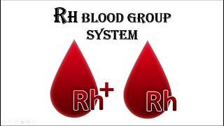 Rh Blood Group System Genetics of Rh group system biology fscbiologyfscbiology [upl. by Nata571]