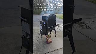 Real smoke flavor from a pellet grill shorts shortvideo short pelletgrill [upl. by Godiva]