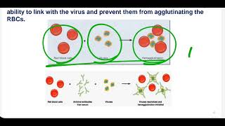 Medical Microbiology Follow Virology lec3 [upl. by Nica]