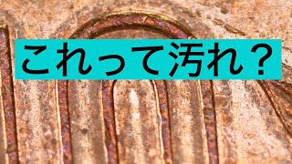 エラーコインには、１０倍・１００倍の価格で取引される物もあります。皆様も是非、財布の中のコインをじっくり眺めてみて下さい。お宝貨幣が入っているかも知れません。 [upl. by Ramor]