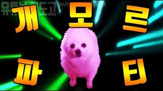 개모르파티 MV feat gabe the dog  아모르파티 강아지 리믹스 [upl. by Halilahk]