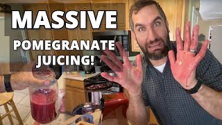 MASSIVE POMEGRANATE JUICING  How to Extract and Make Pomegranate Juice from Seeds [upl. by Elak]