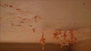 removal of painted embossed ceiling wallpaper [upl. by Pournaras539]