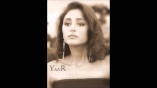 Golshifteh Farahani Ft Didier Malherbe  Yaar 2013 [upl. by Dalohcin]