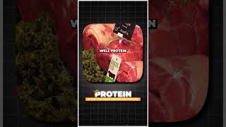 Why Protein is so Important healthyfood mealprep food [upl. by Naimed]