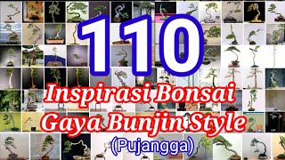 Inspirasi Bonsai Bunjin Stylegaya Bonsai bunjin style [upl. by Devondra687]