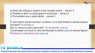 TV ȘCOALA  ROMÂNĂ CLASA A VI A SENSUL CUVINTELOR OMONIMELE ȘI CUVINTELE POLISEMANTICE [upl. by Nona]