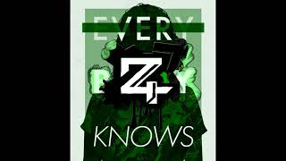 Sigrid  Everybody Knows Z4 quotDrum And Bass Remixquot [upl. by Aleehs]