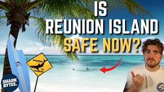 Is It SAFE To Go Back To REUNION ISLAND Shark Scientist Opinion [upl. by Alfonzo]