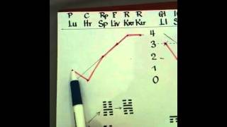 Acupuncture pulse diagnosis with pulse map 7 [upl. by Treb]