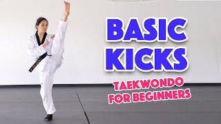 Learn Martial Arts 3 Basic Kicks for Beginners [upl. by Andie]