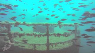 Big Blue Diving Mallorca  quotthe ultimate diving moviequot  updated 2014 [upl. by Edrock]