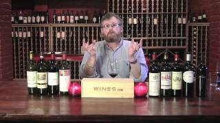 A Tour of Bordeaux  featuring Rob Moshein for Winescom TV [upl. by Adnoyek]