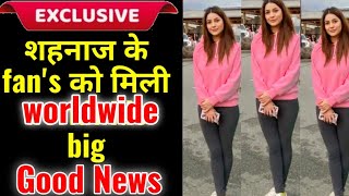 Shehnaaz Gill से जुड़ी worldwide good news for all fans omg its huge [upl. by Danielle]