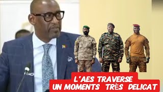 L aes TRAVERSE un moment très très delict le mali 🇲🇱 le burkinafaso🇧🇫  niger 🇳🇪en decoule [upl. by Son]