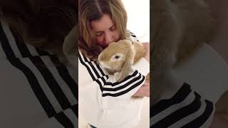 A 23 Second Cuddle with my Wriggly Boy bunny freeroamrabbit rabbit shorts shortsvideo [upl. by Eadas992]