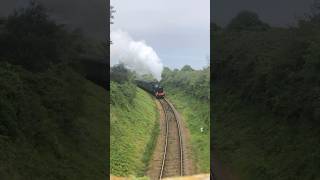 GWR hall class 6990 ‘Witherslack hall’ passing under a bridge just out side watchet station [upl. by Anissa]