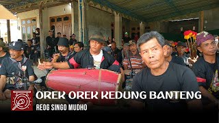 OREK OREK CINDELARAS KEDUNG BANTENG MAESTRO KENDANG BRANG WETAN MBAH MAJI [upl. by Japha]