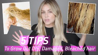 5 Tips to Grow Out Dry Damaged amp Bleached Hair [upl. by Markowitz]