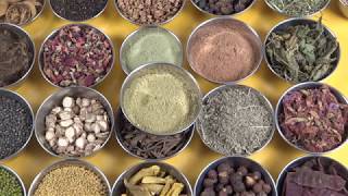 Herbal Bath Powder மூலிகை குளிக்கும் பொடி Part 22  Preparation and Uses Tamil [upl. by Lyssa]