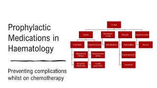 Haematology Prophylactic Medications [upl. by Eiramadnil700]