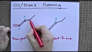 Naming Cis  Trans Double Bonds [upl. by Gaw]