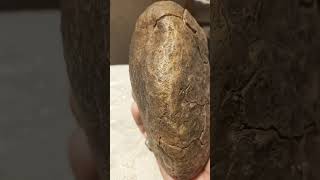 meteorite شهابسنگ النیازک stone سنگهایقیمتی minerals مریخ shahabsang823 [upl. by Roel]