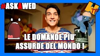 LE DOMANDE PIU ASSURDE DEL MONDO  AskAwed™ [upl. by Williamsen312]