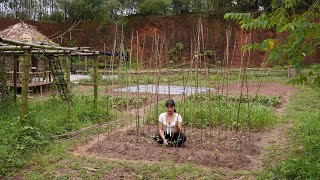 Make A Trellis For Bean Plants To Grow Eat Watermelon Building Farm Life [upl. by Shih]