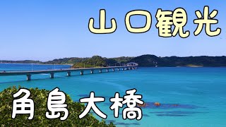 【山口県】角島大橋【観光】japantravel asiantravel 車窓 [upl. by Nnyla]