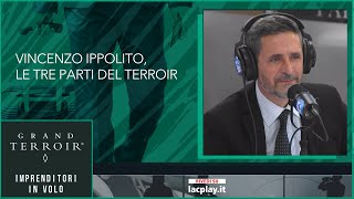 Le 3 caratteristiche del terroir  𝗚𝗿𝗮𝗻𝗱 𝗧𝗲𝗿𝗿𝗼𝗶𝗿 𝗶𝗺𝗽𝗿𝗲𝗻𝗱𝗶𝘁𝗼𝗿𝗶 𝗶𝗻 𝘃𝗼𝗹𝗼 [upl. by Nereil533]