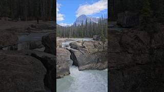 Beautiful water and what a view  Natural Bridge Yoho nature hiking shorts [upl. by Uhp]