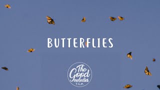 Abe Parker  Butterflies Lyrics  Lyric Video [upl. by Coulson]