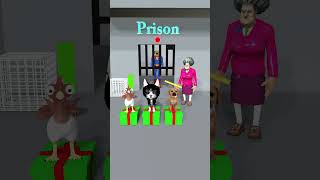 Chicken Cat cute Vs poor Dog Which animal can rescue Superman Dog from prison cat dog [upl. by Niven]