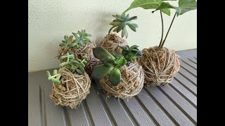 Kokedama for Beginners [upl. by Anohsal570]