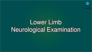 Lower Limb Neurological Examination  Macleods Clinical Examination [upl. by Elmira]