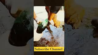 Horse 🐎 Foot Repair cuteanimal animals horse shorts shortsfeed shortvideo [upl. by Ralat]