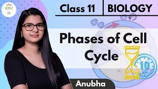 Class 11  Cell Cycle amp Its Phases Under 10 Mins  ⏳  NCERT [upl. by Ellennoj]