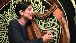 Witcher 3 Priscilla Song Harp Cover Polish version [upl. by Elberfeld]