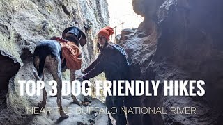 DOG FRIENDLY HIKING TRAILS  Buffalo National River Arkansas [upl. by Tutto]