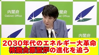 「2030年代の核融合原型炉、果たして安全か？未知のリスクとは」 [upl. by Banquer997]