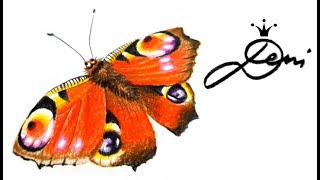 Schmetterling zeichnen 🦋 Tagpfauenauge 🦋 peacock butterfly drawing 🦋 как се рисува пеперуда 🦋 [upl. by Etnomaj]