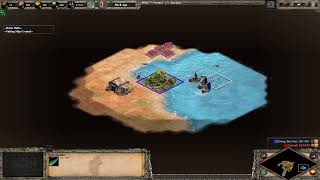 AoE2 HOW TO  Mayans Nomad Start and early eco [upl. by Heti829]