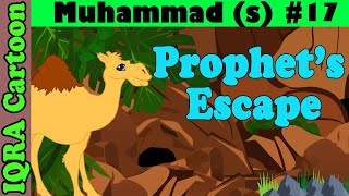 Prophets escape  Muhammad Story Ep 17  Prophet stories for kids  iqra cartoon Islamic cartoon [upl. by Ahsiem]