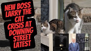 LARRY THE CAT  NEW BOSS NEW HOME LATEST NEWS downingstreet cat larrythecat [upl. by Ahsinaw959]