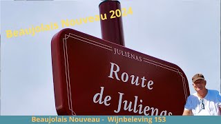 153 Beaujolais Nouveau Wijnbeleving TV153 [upl. by Yzdnil]