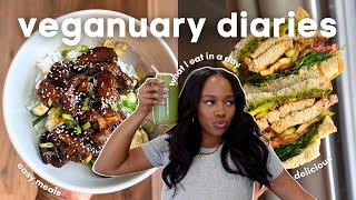 veganuary diaries ep 1 what I eat in a day  easy vegan recipes for beginners [upl. by Friedberg]