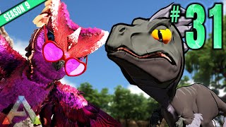 Summer Event Chibis  Part 31  ARK Survival Evolved CoOp Season 9 [upl. by Haggerty]