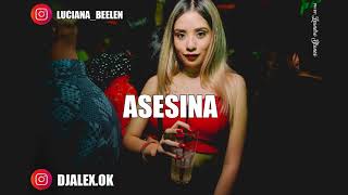 ASESINA BRYTIAGO ✘ DARELL ✘ DJ ALEX FIESTERO REMIX [upl. by Garret]